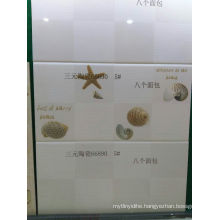 All Kind of Polished Wall Tile